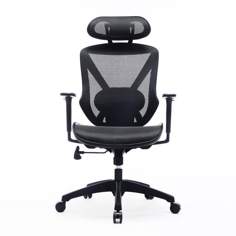 Wayfair ergonomic deals office chair